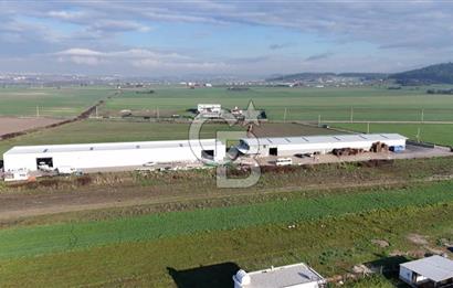 İzmir Menderes Altıntepede,