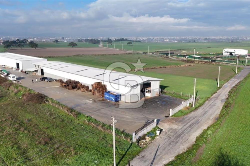 İzmir Menderes Altıntepede,