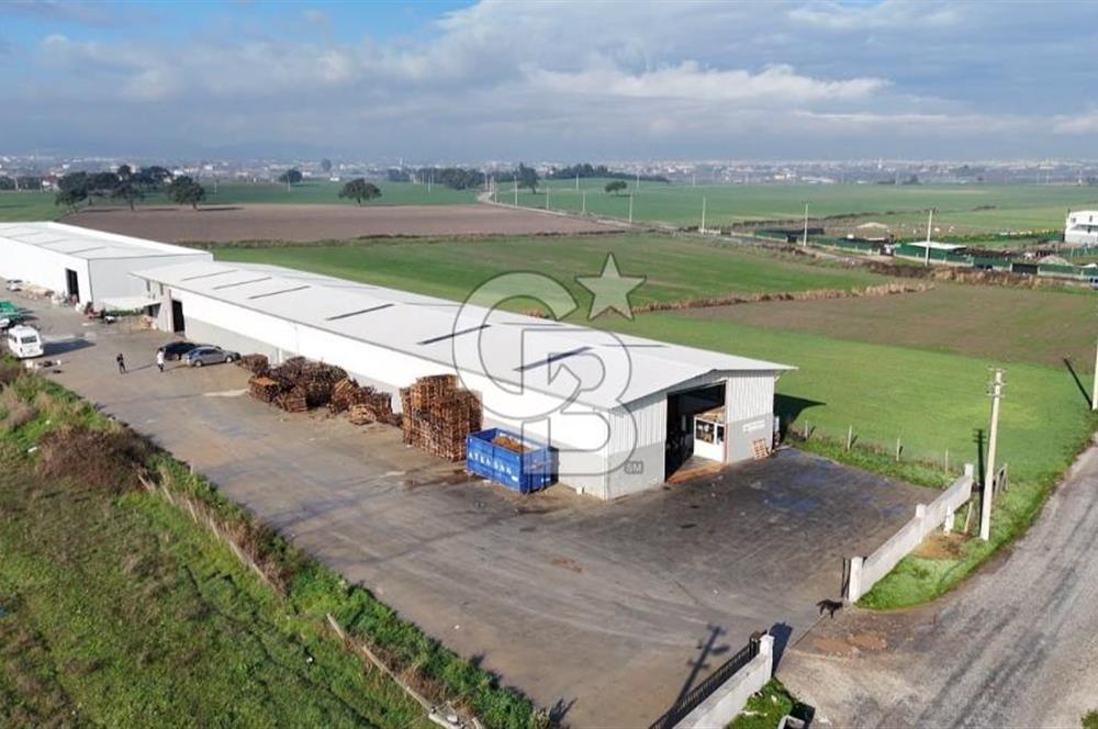 İzmir Menderes Altıntepede,