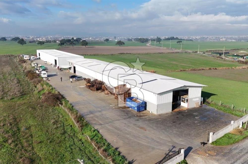 İzmir Menderes Altıntepede,