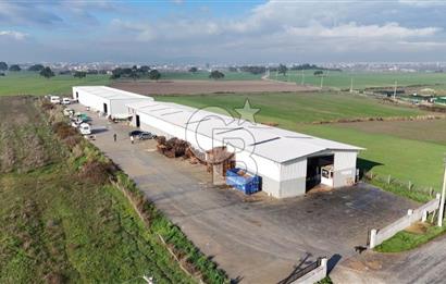 İzmir Menderes Altıntepede,