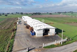 İzmir Menderes Altıntepede, - 1 - 331874