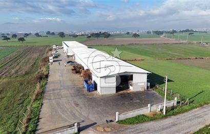 İzmir Menderes Altıntepede,