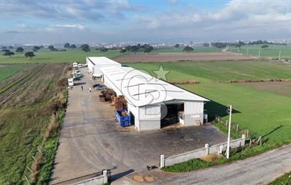 İzmir Menderes Altıntepede,