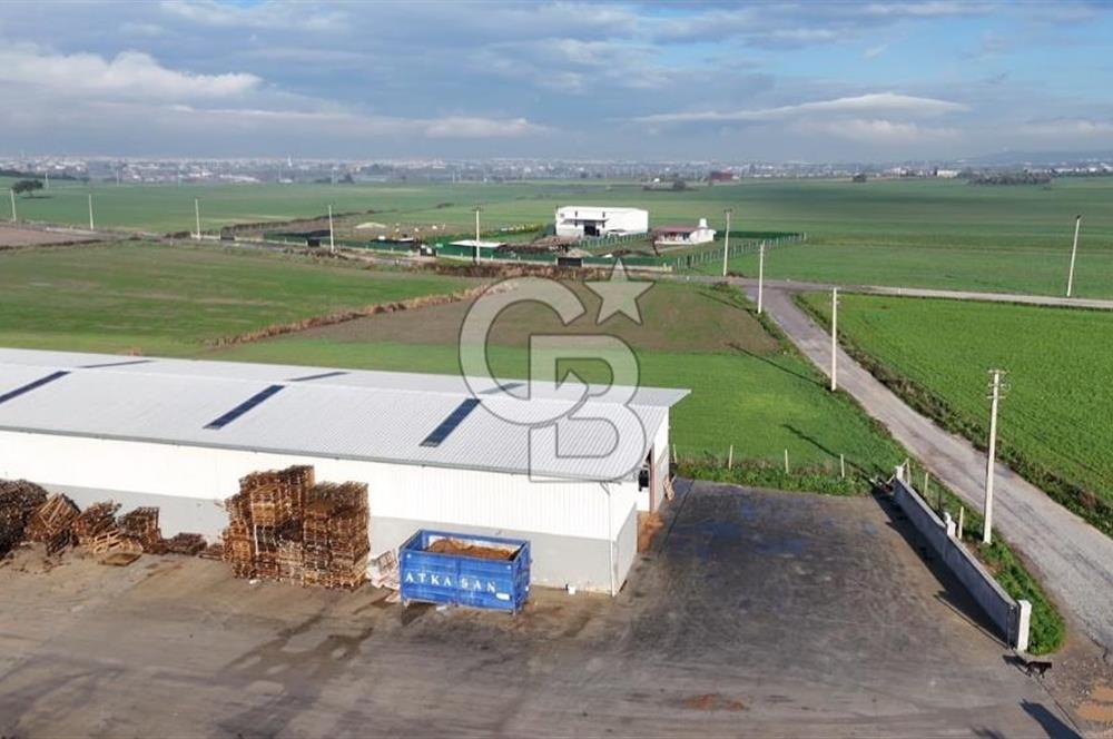 İzmir Menderes Altıntepede,