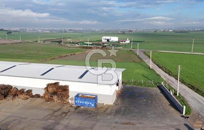 İzmir Menderes Altıntepede,