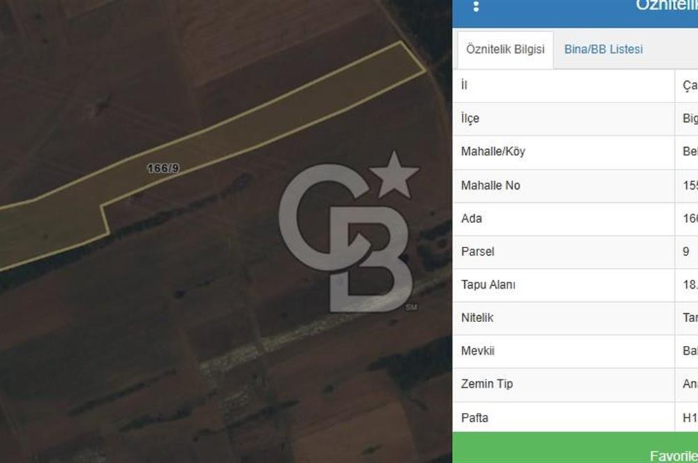 ÇANAKKALE BİGA BEKİRLİ 18.111 M2 SATILIK KADASTRO YOLU OLAN  TARLA