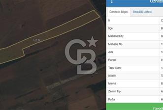 ÇANAKKALE BİGA BEKİRLİ 18.111 M2 SATILIK KADASTRO YOLU OLAN  TARLA - 9 - 331869