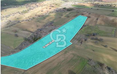 CB OPİA'DAN '' ORTAKÖY'DE GELECEK VADEDEN  31.046 m² TARLA '' 