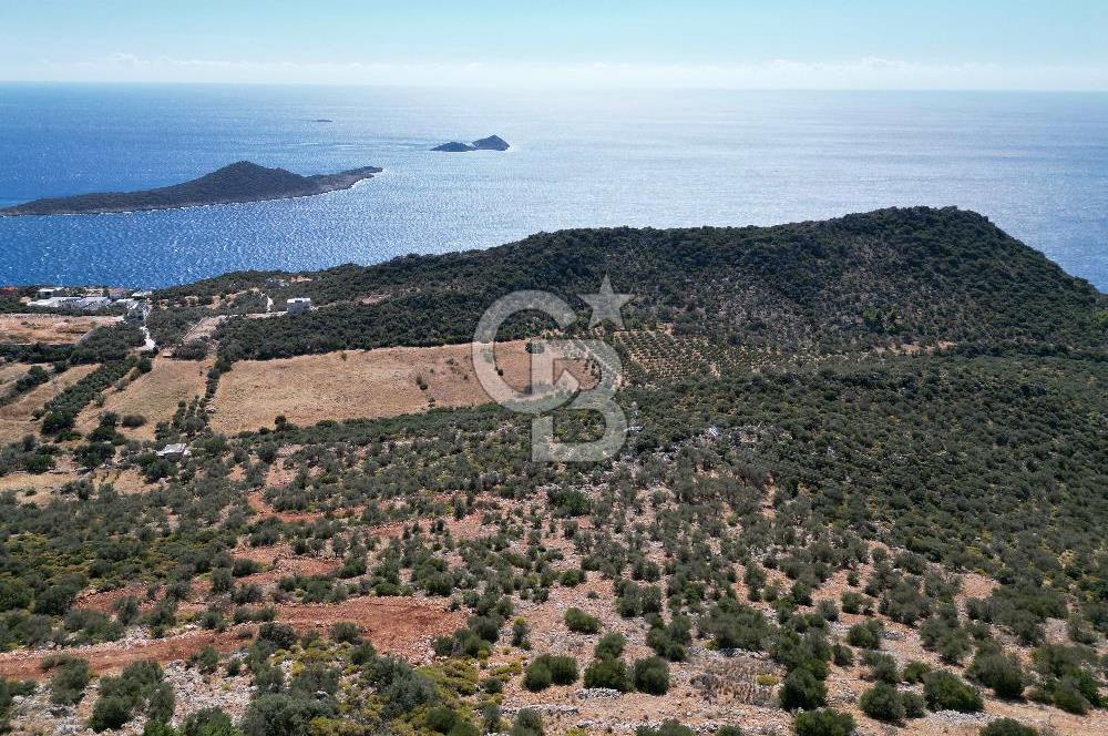 CB GİZ 'DEN KAŞ BEZİRGAN 'DA DENİZ MANZARALI 2B PARSELLER