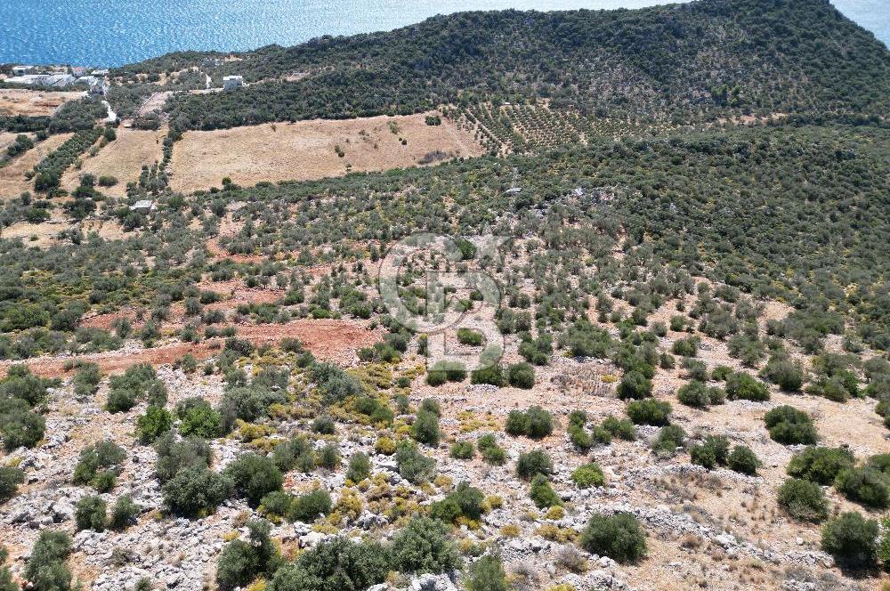 CB GİZ 'DEN KAŞ BEZİRGAN 'DA DENİZ MANZARALI 2B PARSELLER