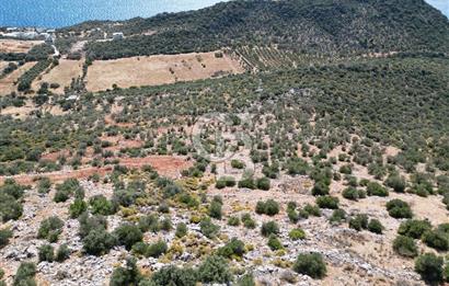 CB GİZ 'DEN KAŞ BEZİRGAN 'DA DENİZ MANZARALI 2B PARSELLER