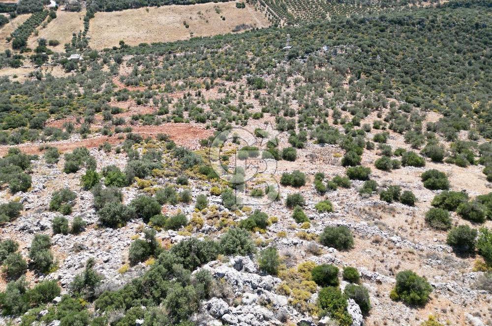 CB GİZ 'DEN KAŞ BEZİRGAN 'DA DENİZ MANZARALI 2B PARSELLER