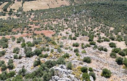 CB GİZ 'DEN KAŞ BEZİRGAN 'DA DENİZ MANZARALI 2B PARSELLER