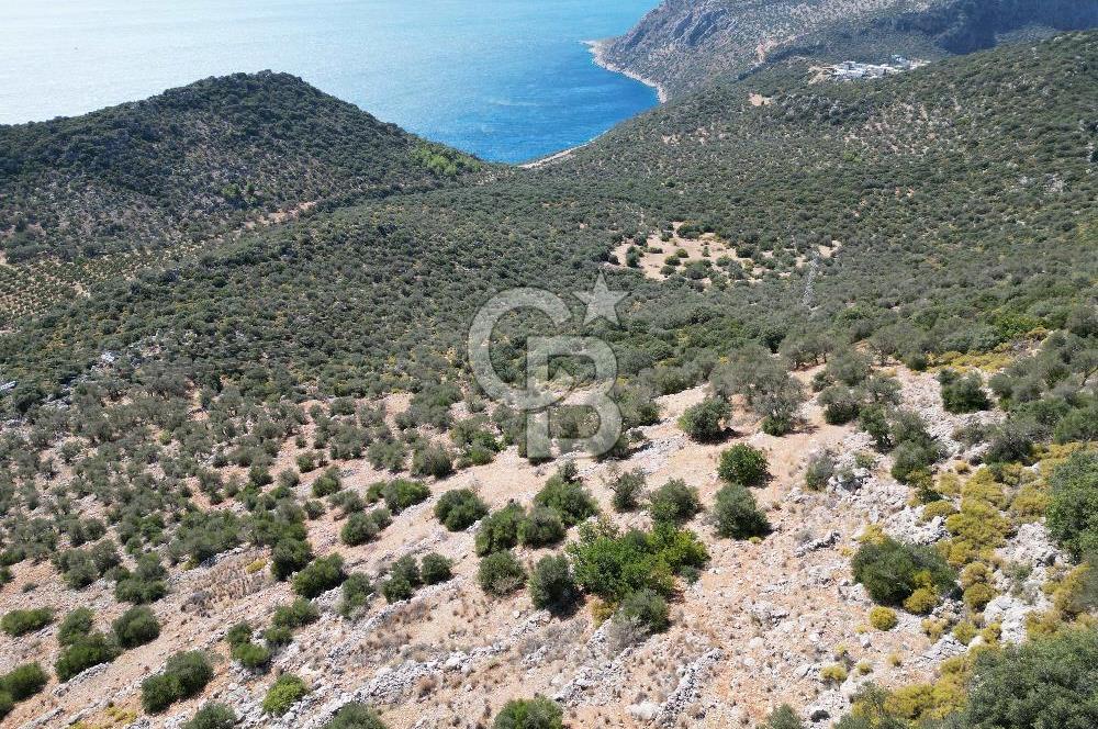 CB GİZ 'DEN KAŞ BEZİRGAN 'DA DENİZ MANZARALI 2B PARSELLER