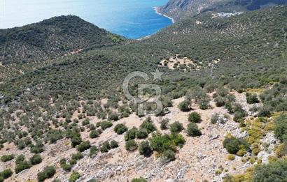 CB GİZ 'DEN KAŞ BEZİRGAN 'DA DENİZ MANZARALI 2B PARSELLER