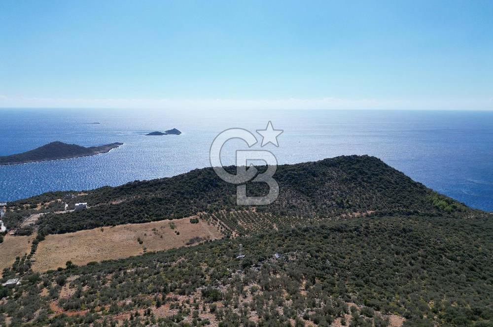 CB GİZ 'DEN KAŞ BEZİRGAN 'DA DENİZ MANZARALI 2B PARSELLER