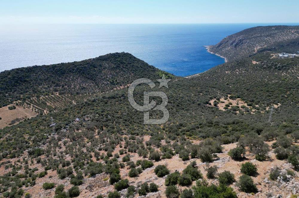 CB GİZ 'DEN KAŞ BEZİRGAN 'DA DENİZ MANZARALI 2B PARSELLER