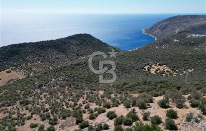 CB GİZ 'DEN KAŞ BEZİRGAN 'DA DENİZ MANZARALI 2B PARSELLER