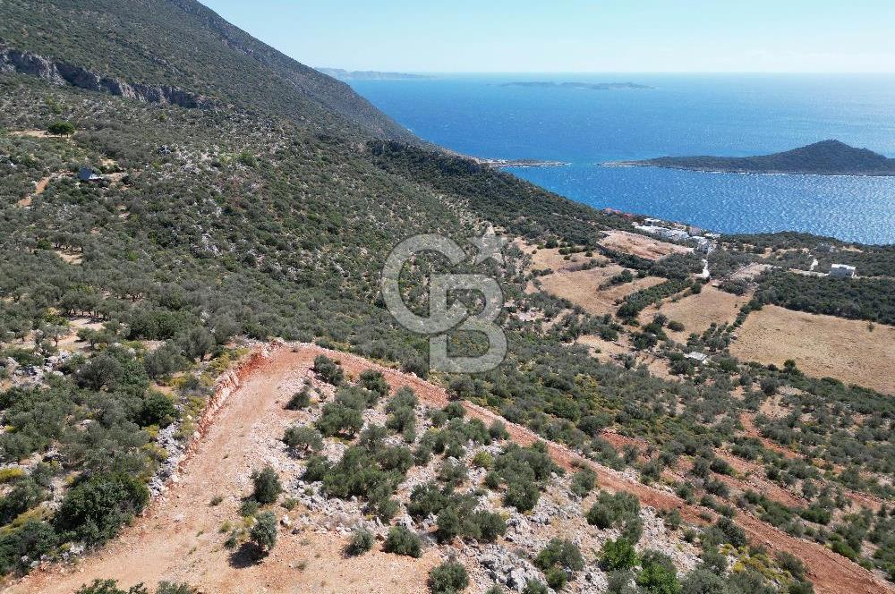 CB GİZ 'DEN KAŞ BEZİRGAN 'DA DENİZ MANZARALI 2B PARSELLER
