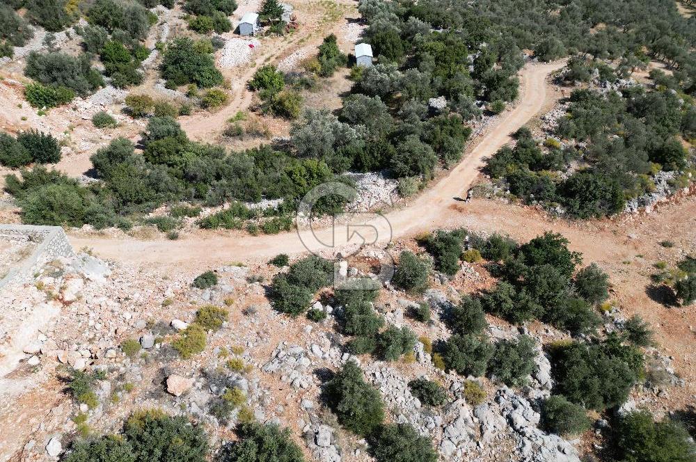 CB GİZ 'DEN KAŞ BEZİRGAN 'DA DENİZ MANZARALI 2B PARSELLER