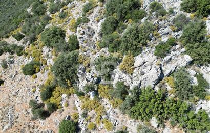 CB GİZ 'DEN KAŞ BEZİRGAN 'DA DENİZ MANZARALI 2B PARSELLER