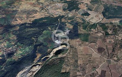 BERGAMA ÇALIBAHÇE KÖYÜ 22500m2 MÜSTAKİL TAPU