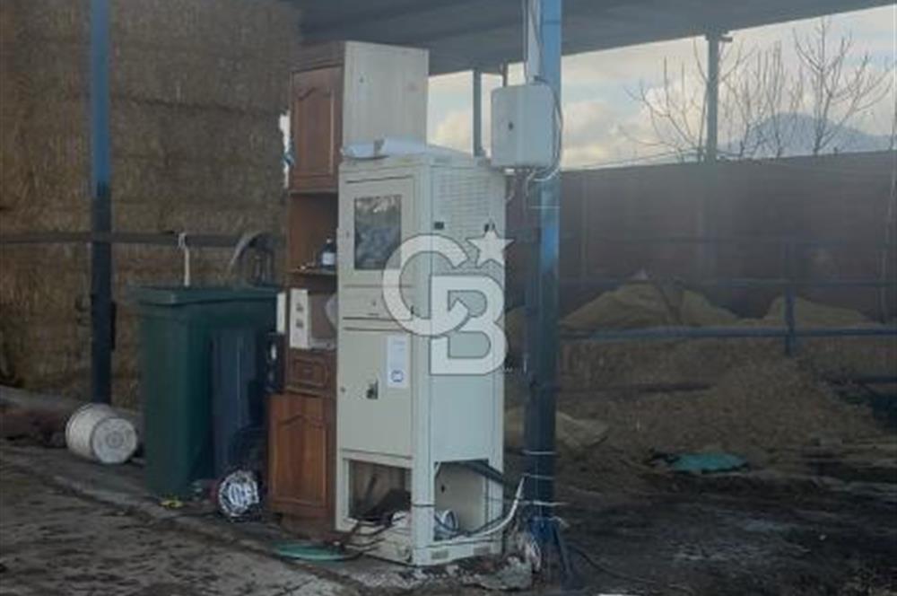 SATILIK  BESİ CİFTLİĞİ 