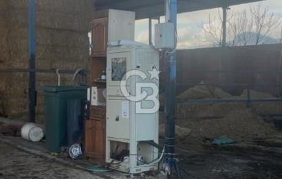 SATILIK  BESİ CİFTLİĞİ 