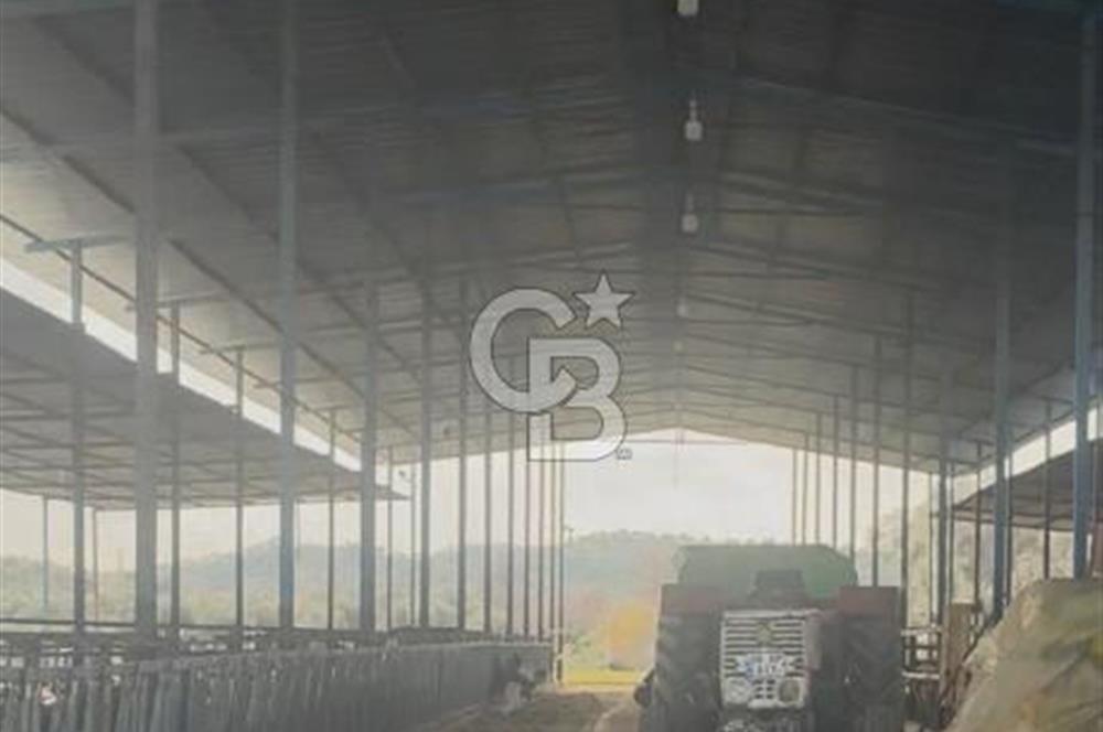 SATILIK  BESİ CİFTLİĞİ 