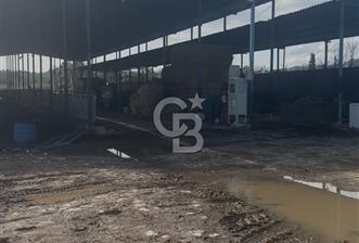 SATILIK  BESİ CİFTLİĞİ  - 1 - 331963