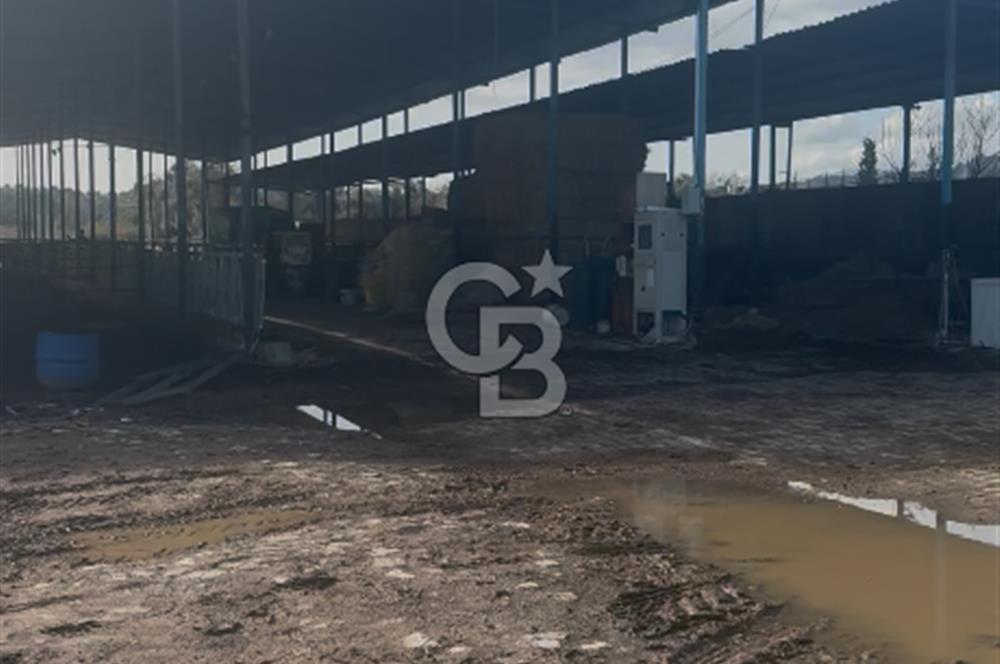 SATILIK  BESİ CİFTLİĞİ 