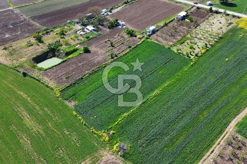 Balabancıkın Değerli Konumunda Tek Tapu Fırsat Arazi