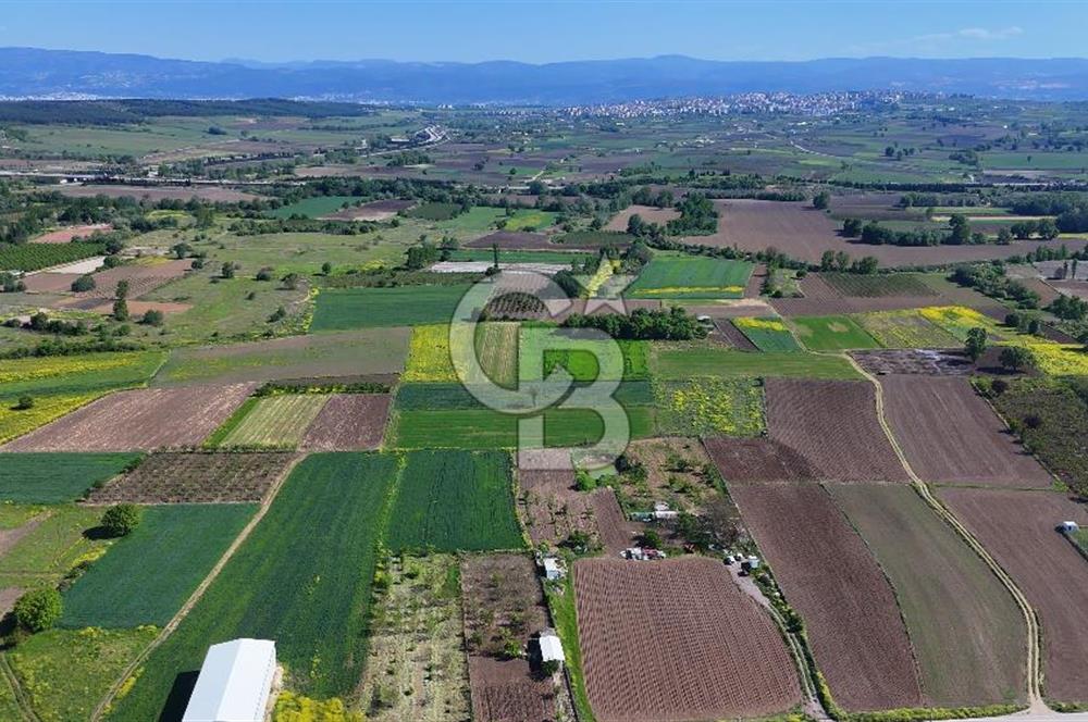 Balabancıkın Değerli Konumunda Tek Tapu Fırsat Arazi