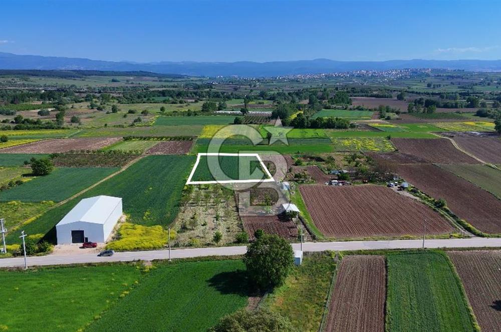 Balabancıkın Değerli Konumunda Tek Tapu Fırsat Arazi