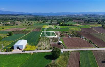 Balabancıkın Değerli Konumunda Tek Tapu Fırsat Arazi
