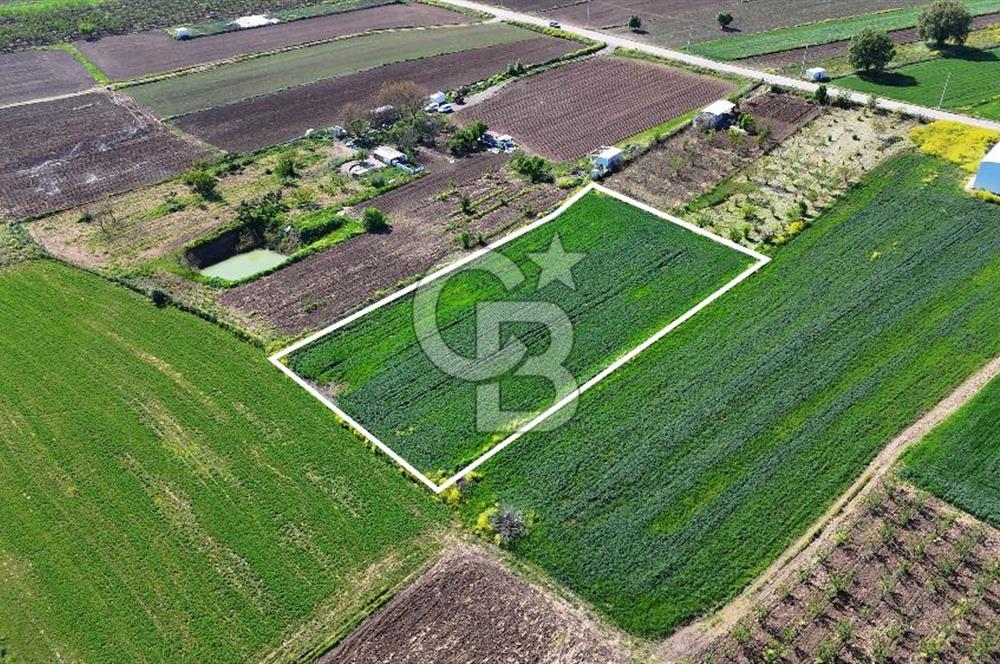 Balabancıkın Değerli Konumunda Tek Tapu Fırsat Arazi