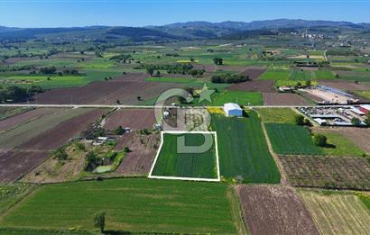 Balabancıkın Değerli Konumunda Tek Tapu Fırsat Arazi