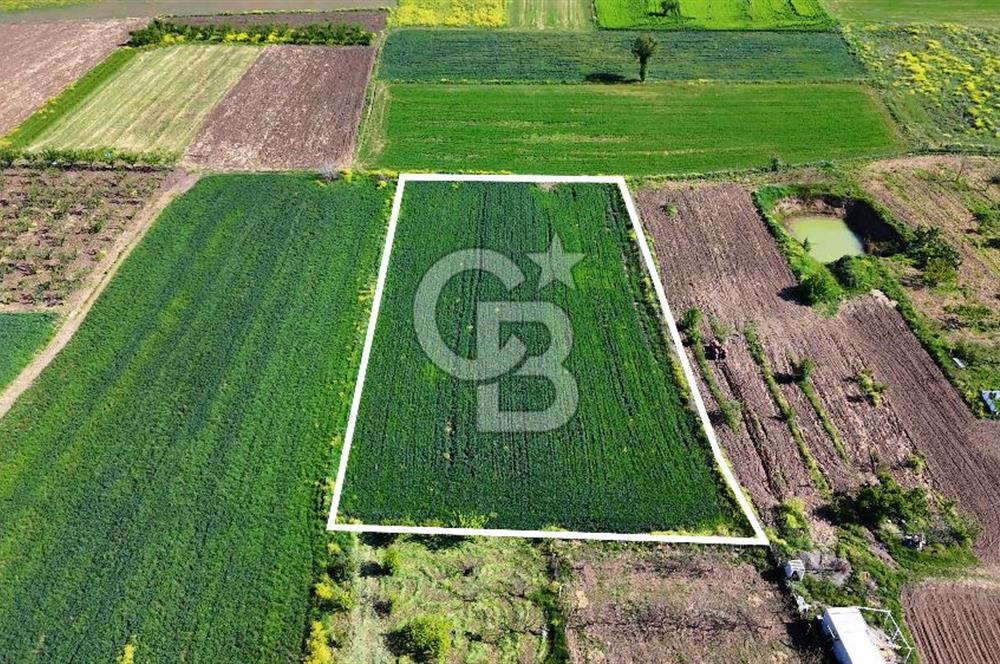 Balabancıkın Değerli Konumunda Tek Tapu Fırsat Arazi