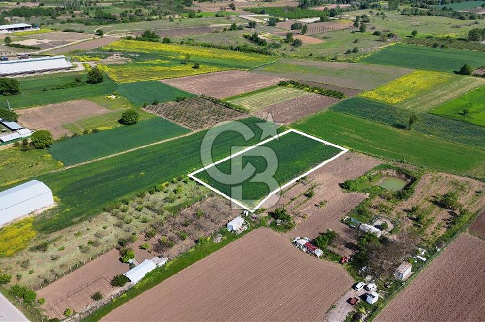 Balabancıkın Değerli Konumunda Tek Tapu Fırsat Arazi