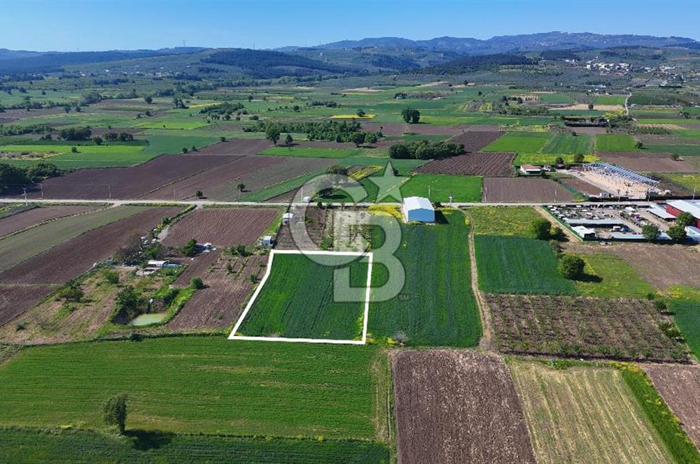 Balabancıkın Değerli Konumunda Tek Tapu Fırsat Arazi