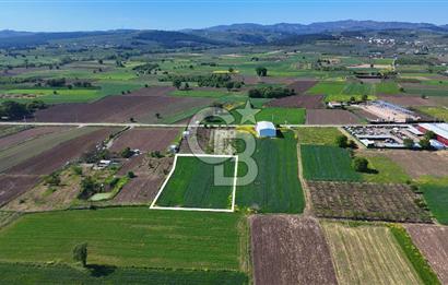 Balabancıkın Değerli Konumunda Tek Tapu Fırsat Arazi