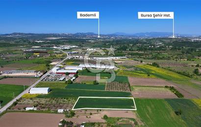 Balabancıkın Değerli Konumunda Tek Tapu Fırsat Arazi