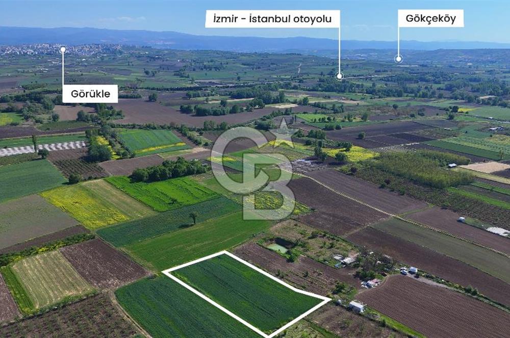 Balabancıkın Değerli Konumunda Tek Tapu Fırsat Arazi