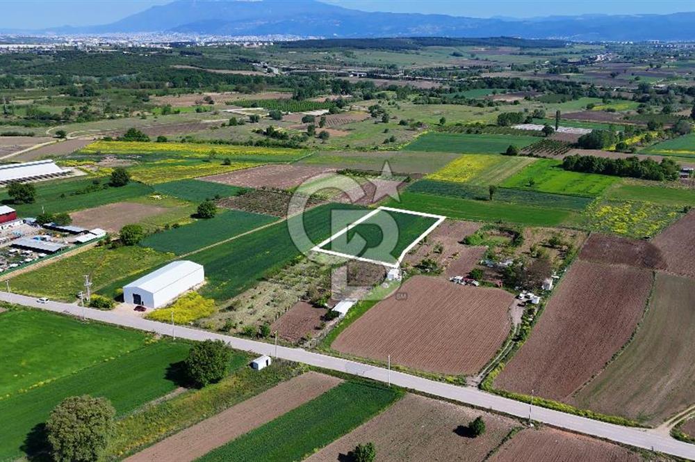 Balabancıkın Değerli Konumunda Tek Tapu Fırsat Arazi