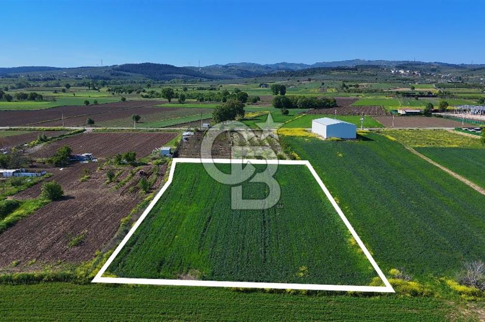 Balabancıkın Değerli Konumunda Tek Tapu Fırsat Arazi