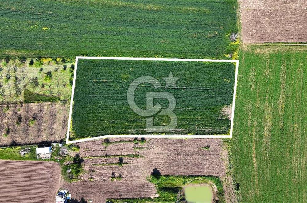 Balabancıkın Değerli Konumunda Tek Tapu Fırsat Arazi