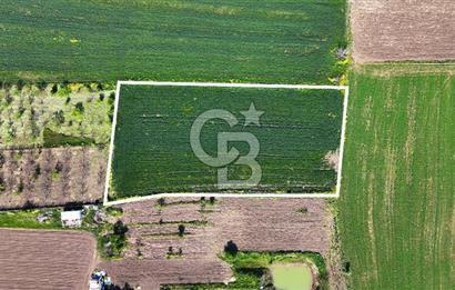 Balabancıkın Değerli Konumunda Tek Tapu Fırsat Arazi