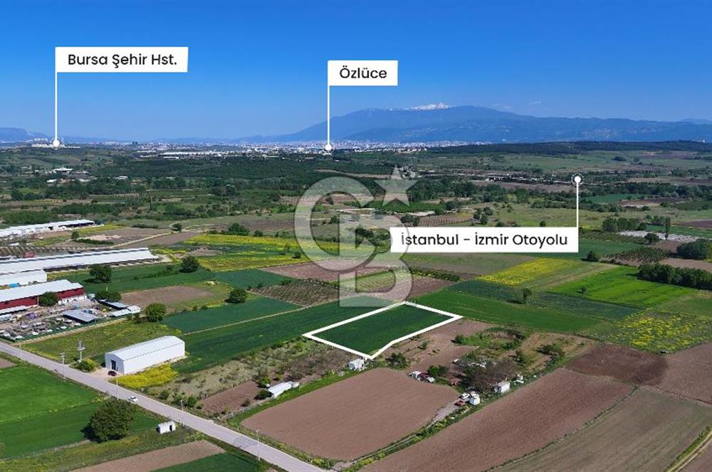 Balabancıkın Değerli Konumunda Tek Tapu Fırsat Arazi