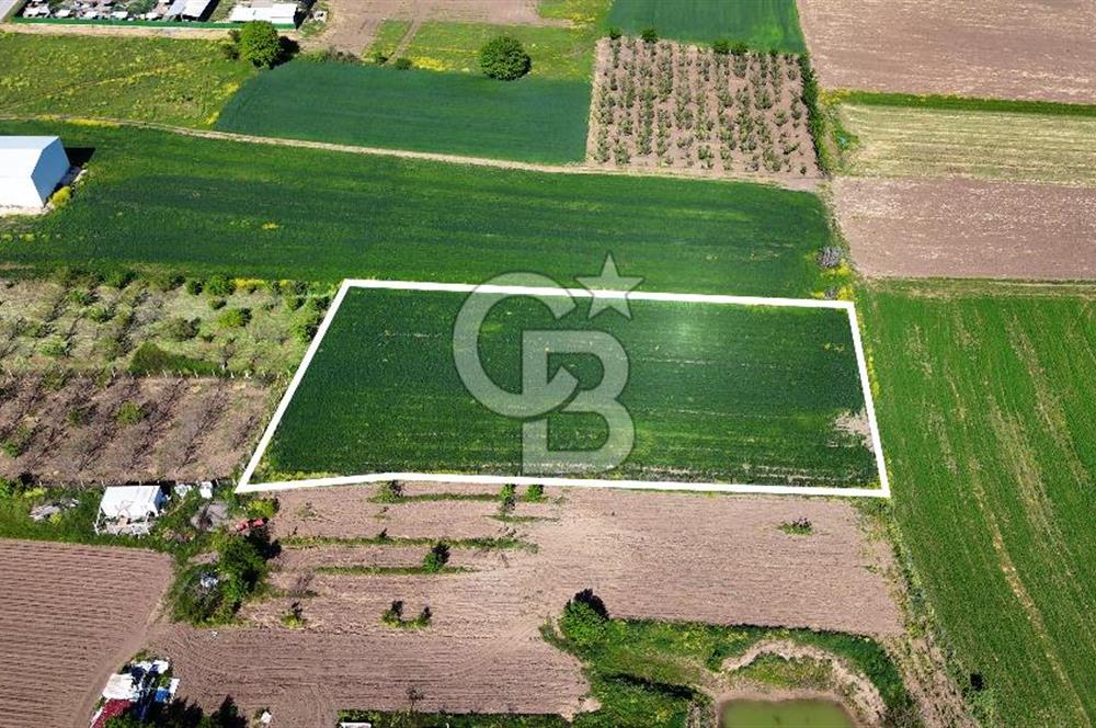 Balabancıkın Değerli Konumunda Tek Tapu Fırsat Arazi